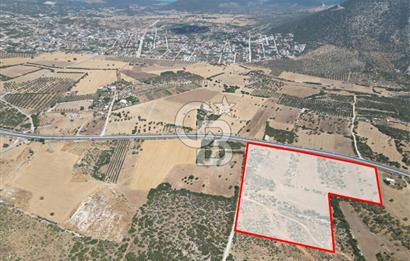 didim akyeni koyde anayola cepheli 54776 m2 tarla