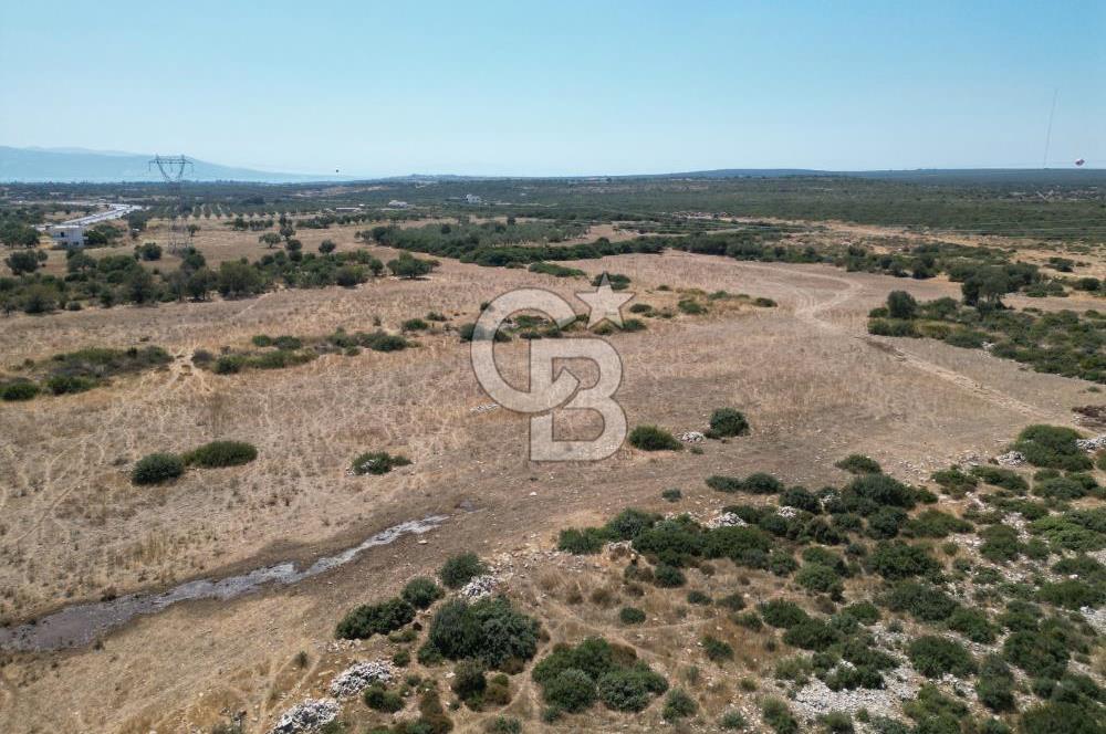 didim akyeni koyde anayola cepheli 54776 m2 tarla
