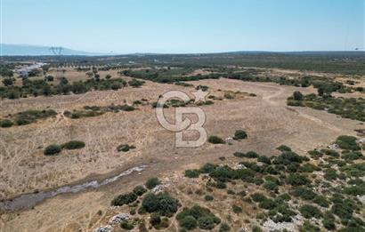 didim akyeni koyde anayola cepheli 54776 m2 tarla