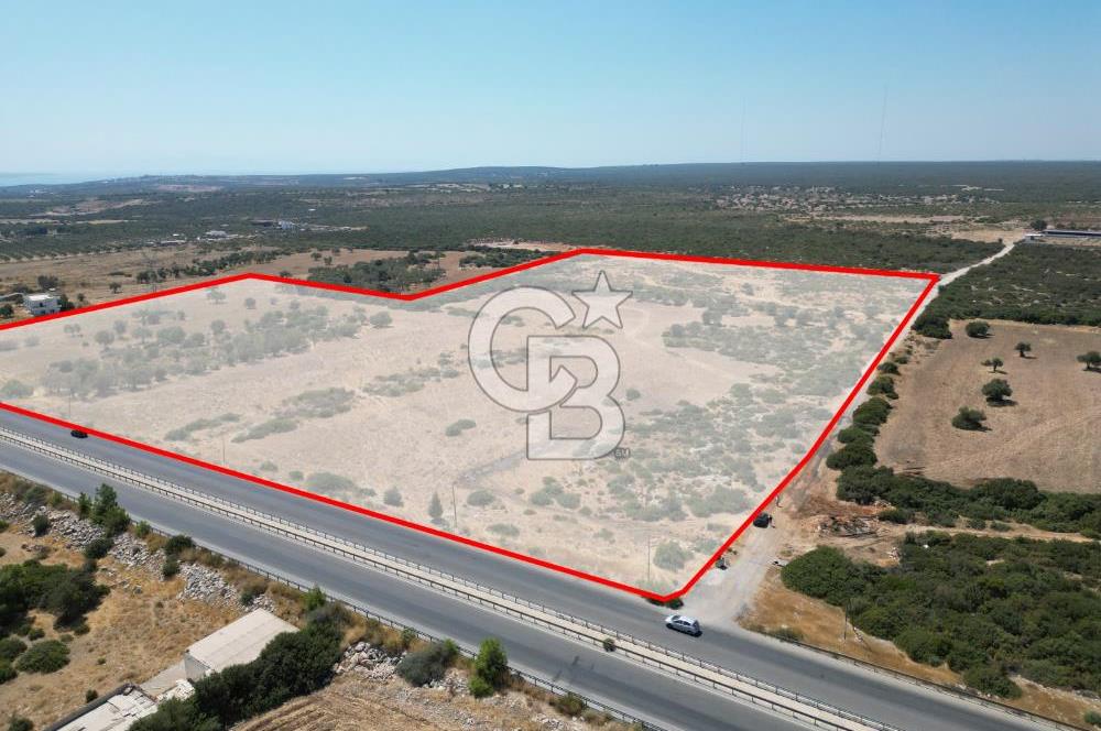 didim akyeni koyde anayola cepheli 54776 m2 tarla