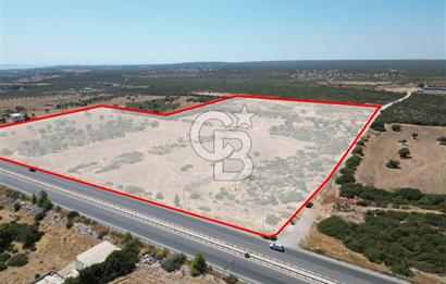 didim akyeni koyde anayola cepheli 54776 m2 tarla
