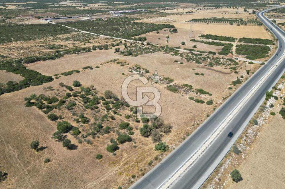 didim akyeni koyde anayola cepheli 54776 m2 tarla