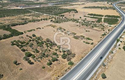 didim akyeni koyde anayola cepheli 54776 m2 tarla
