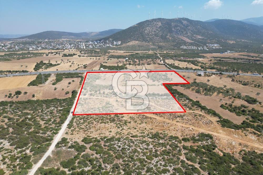 didim akyeni koyde anayola cepheli 54776 m2 tarla