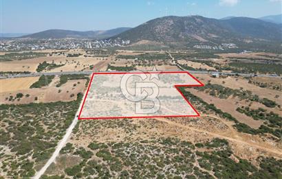 didim akyeni koyde anayola cepheli 54776 m2 tarla