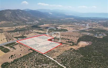 didim akyeni koyde anayola cepheli 54776 m2 tarla