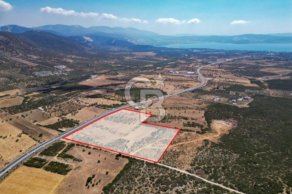 didim akyeni koyde anayola cepheli 54776 m2 tarla