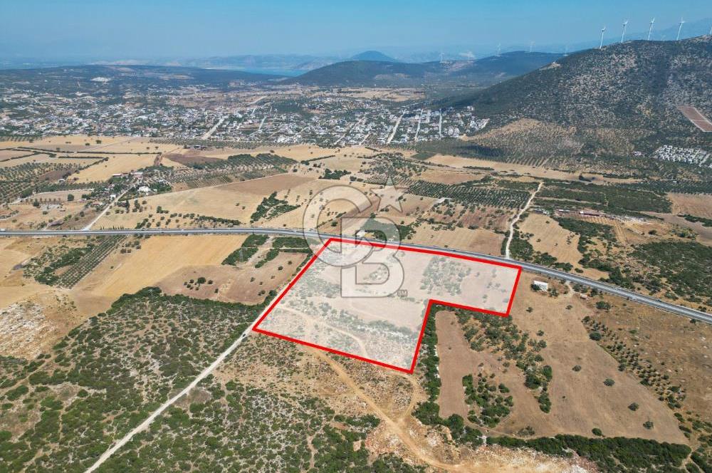 didim akyeni koyde anayola cepheli 54776 m2 tarla