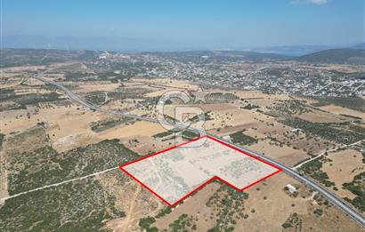 didim akyeni koyde anayola cepheli 54776 m2 tarla