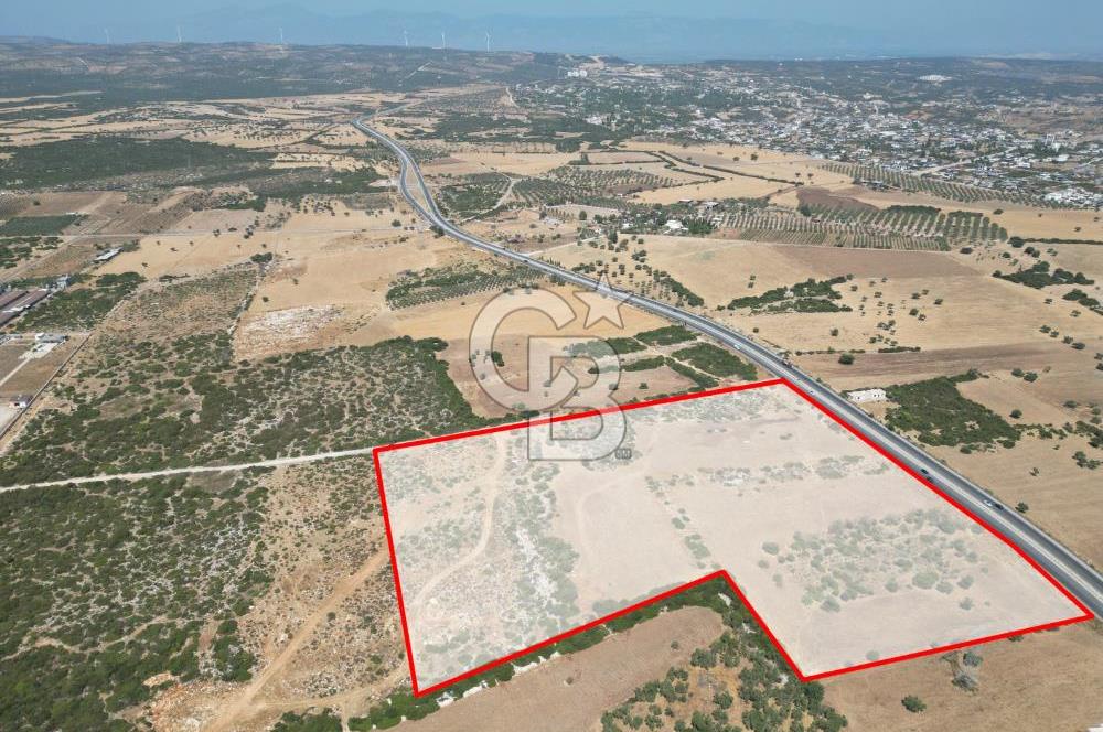 didim akyeni koyde anayola cepheli 54776 m2 tarla