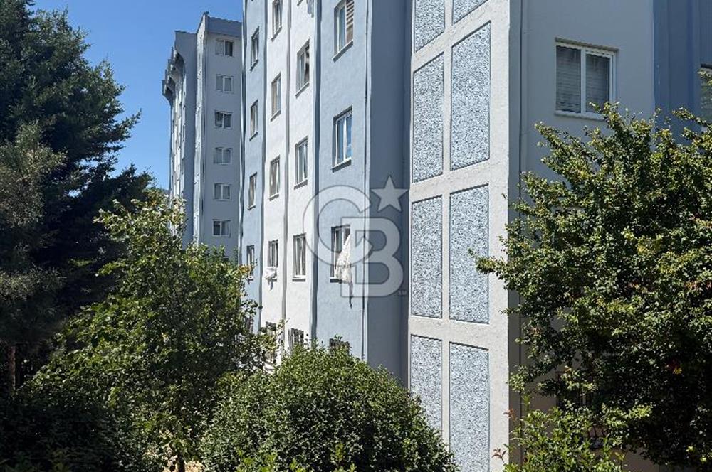 Pendik Şeyhli Sülüntepe Toki Konutları Satılık Daire Gedik Üniversitesi Yakını