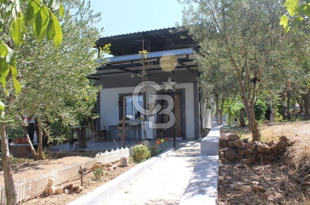KEMALPAŞA ARMUTLU ÇARŞIKLI MEVKİNDE 4 TARAFI YEŞİLLİK İÇERİSİNDE BAĞ