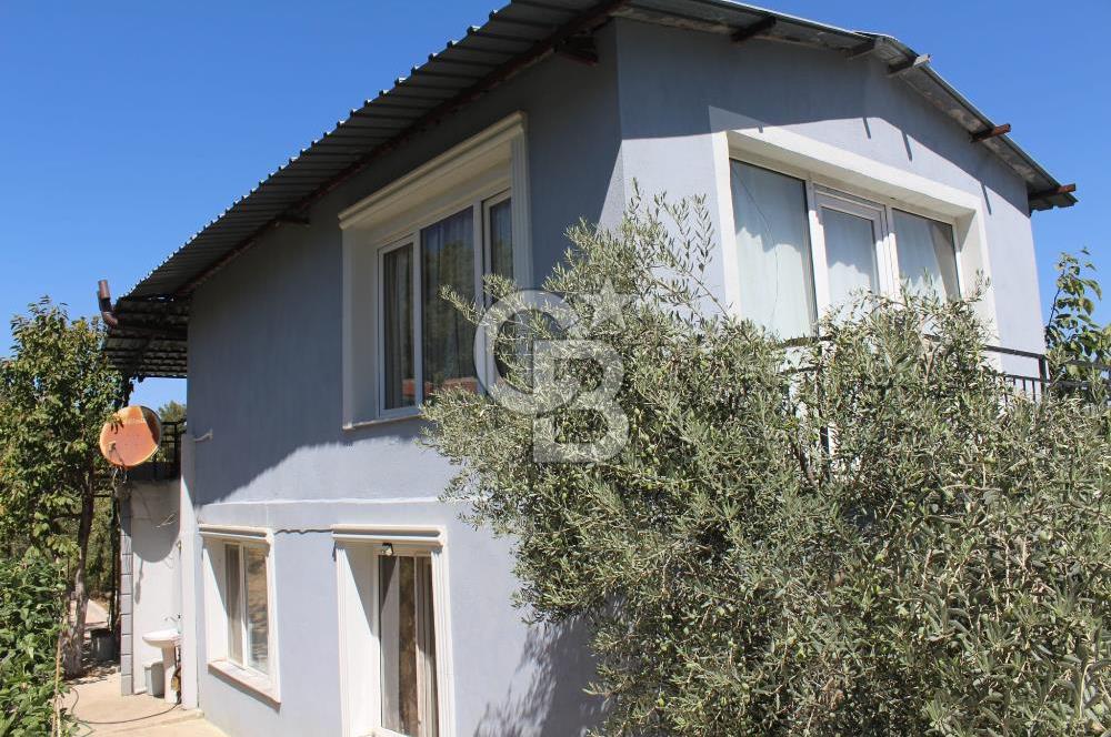 KEMALPAŞA ARMUTLU ÇARŞIKLI MEVKİNDE 4 TARAFI YEŞİLLİK İÇERİSİNDE BAĞ