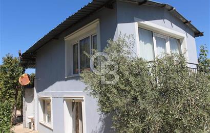 KEMALPAŞA ARMUTLU ÇARŞIKLI MEVKİNDE 4 TARAFI YEŞİLLİK İÇERİSİNDE BAĞ