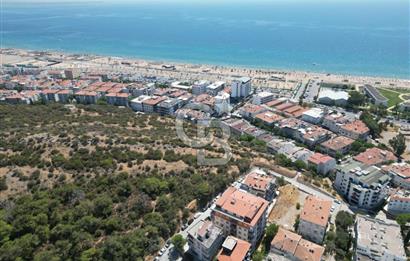 AYVALIK SARIMSAKLI DENİZ DOĞA MANZARALI ASANSÖRLÜ 4+1 TERASLI