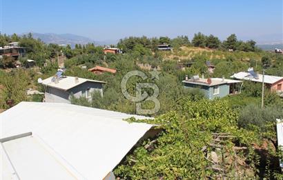 KEMALPAŞA ARMUTLU ÇARŞIKLI MEVKİNDE 4 TARAFI YEŞİLLİK İÇERİSİNDE BAĞ