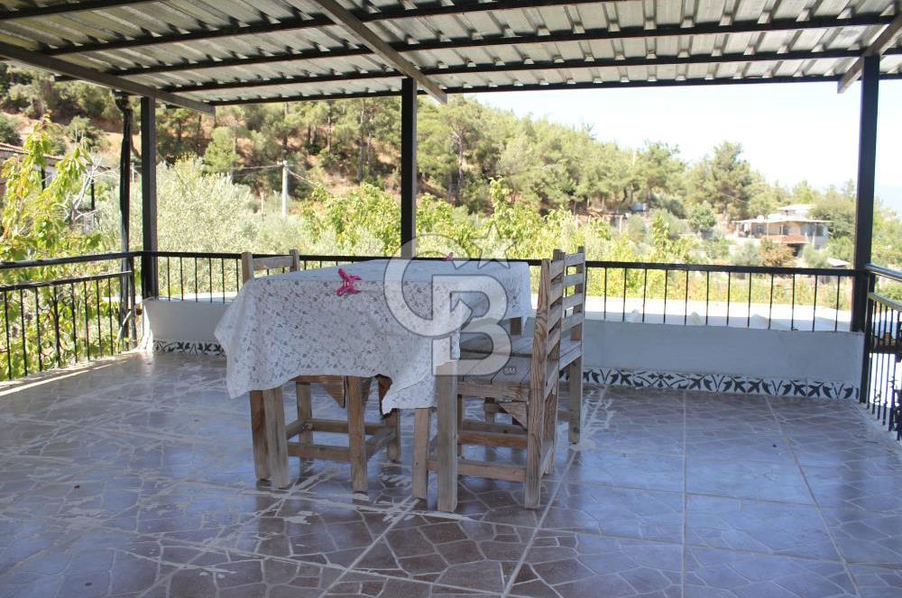 KEMALPAŞA ARMUTLU ÇARŞIKLI MEVKİNDE 4 TARAFI YEŞİLLİK İÇERİSİNDE BAĞ
