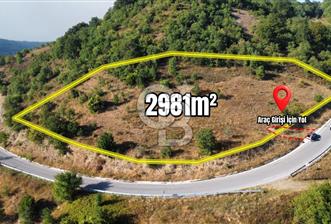 FULACIK'TA 2981 m² ORMAN VE GÖL MANZARALI %5 İMARLI TARLA