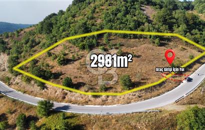 FULACIK'TA 2981 m² ORMAN VE GÖL MANZARALI %5 İMARLI TARLA