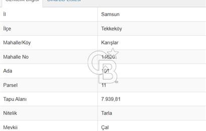 ANA YOLA CEPHE, SATILIK.. RUHSATLI EV VE TARLA 2