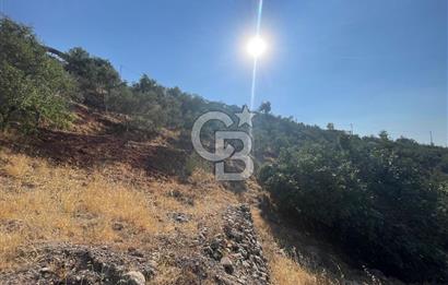 CB'DEN KILAVUZLU ANA CADDESİNDE SATILIK TARLA