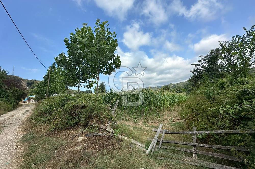 DÜZCE AKÇAKOCA UĞURLU KÖYÜN'DE 1994 m2 SATILIK ARSA