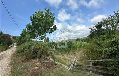 DÜZCE AKÇAKOCA UĞURLU KÖYÜN'DE 1994 m2 SATILIK ARSA