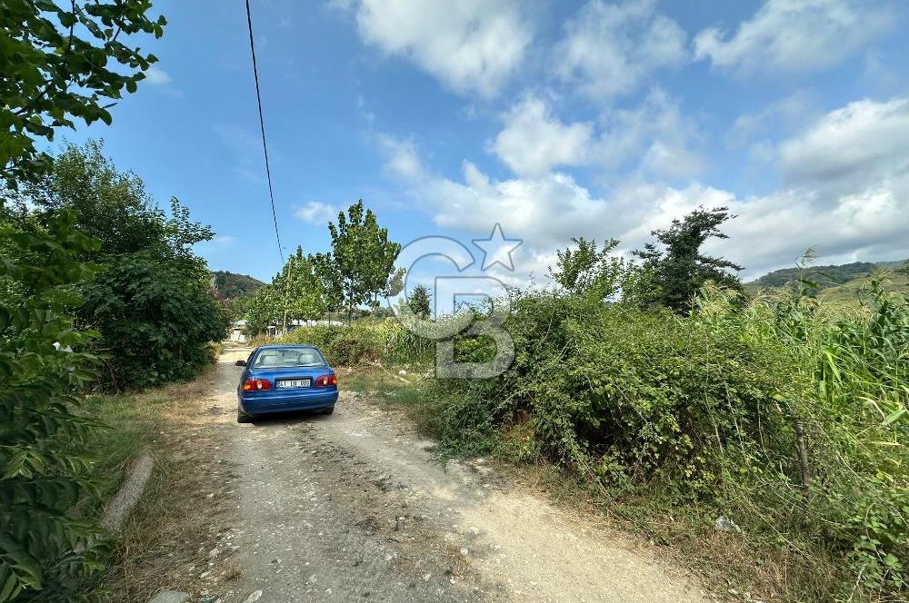 DÜZCE AKÇAKOCA UĞURLU KÖYÜN'DE 1994 m2 SATILIK ARSA