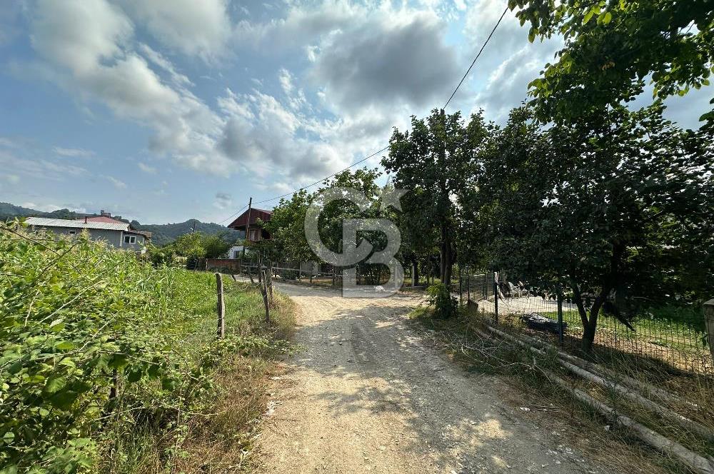 DÜZCE AKÇAKOCA UĞURLU KÖYÜN'DE 1994 m2 SATILIK ARSA