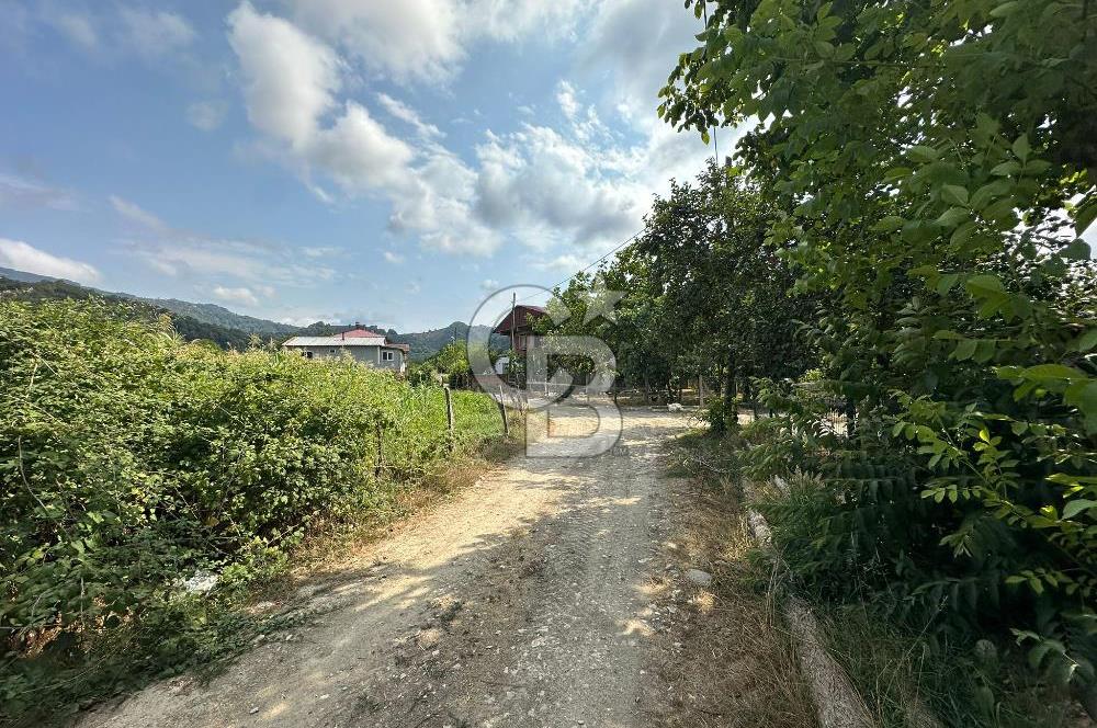 DÜZCE AKÇAKOCA UĞURLU KÖYÜN'DE 1994 m2 SATILIK ARSA