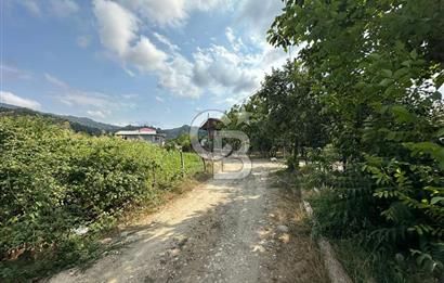 DÜZCE AKÇAKOCA UĞURLU KÖYÜN'DE 1994 m2 SATILIK ARSA