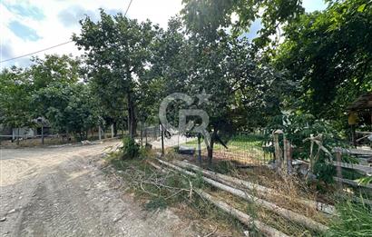 DÜZCE AKÇAKOCA UĞURLU KÖYÜN'DE 1994 m2 SATILIK ARSA