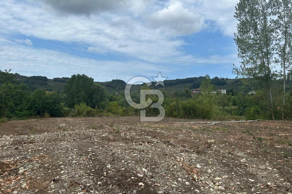 DÜZCE/AKÇAKOCA UĞURLU KÖYÜ KÖY İÇİ UYGUN FİYATA SATILIK ARSA