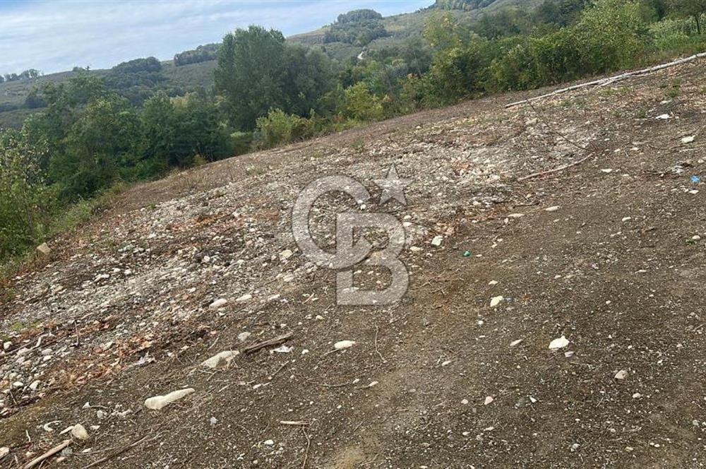 DÜZCE/AKÇAKOCA UĞURLU KÖYÜ KÖY İÇİ UYGUN FİYATA SATILIK ARSA