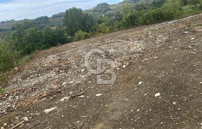 DÜZCE/AKÇAKOCA UĞURLU KÖYÜ KÖY İÇİ UYGUN FİYATA SATILIK ARSA