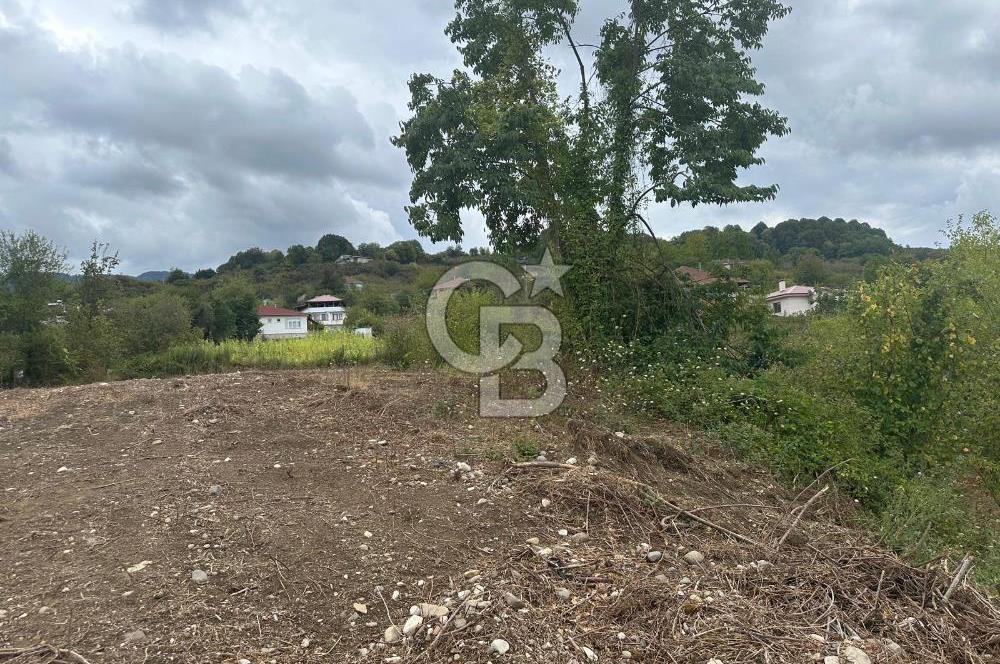 DÜZCE/AKÇAKOCA UĞURLU KÖYÜ KÖY İÇİ UYGUN FİYATA SATILIK ARSA
