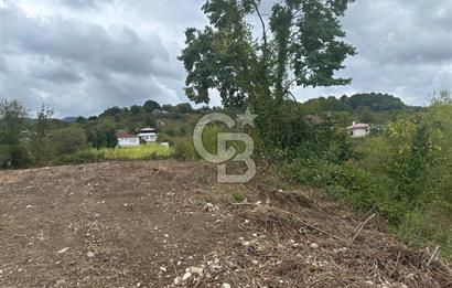 DÜZCE/AKÇAKOCA UĞURLU KÖYÜ KÖY İÇİ UYGUN FİYATA SATILIK ARSA