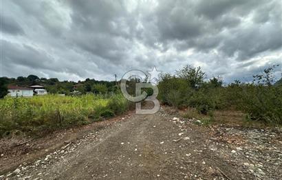 DÜZCE/AKÇAKOCA UĞURLU KÖYÜ KÖY İÇİ UYGUN FİYATA SATILIK ARSA