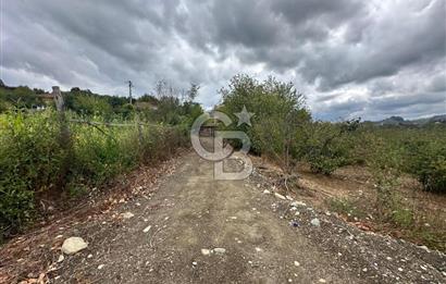 DÜZCE/AKÇAKOCA UĞURLU KÖYÜ KÖY İÇİ UYGUN FİYATA SATILIK ARSA