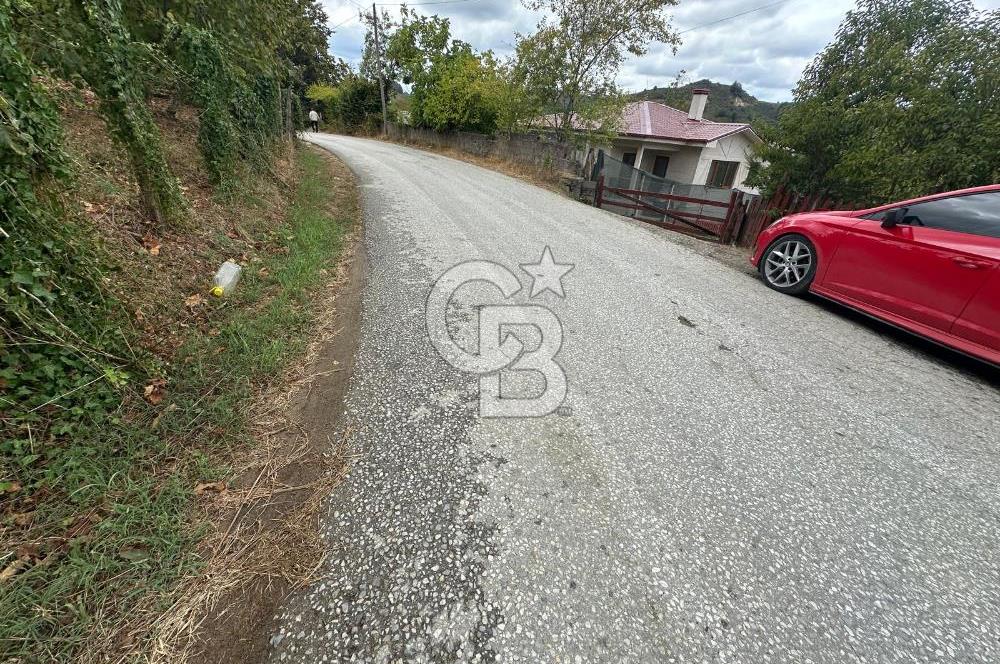DÜZCE/AKÇAKOCA UĞURLU KÖYÜ KÖY İÇİ UYGUN FİYATA SATILIK ARSA