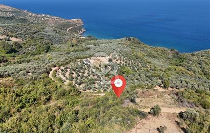 YALOVA ÇINARCIK ŞENKÖYDE DENİZ MANZARALI SATILIK İMARLI ARSA..!!