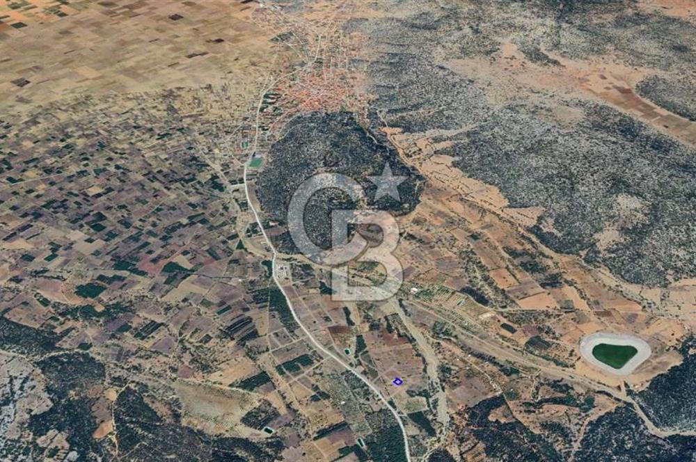 Tavas Nikfer'de Yatırımlık İmarlı Satılık Arsa