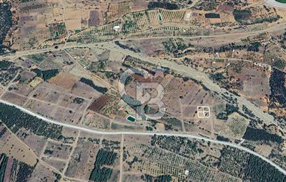 Tavas Nikfer'de Yatırımlık İmarlı Satılık Arsa