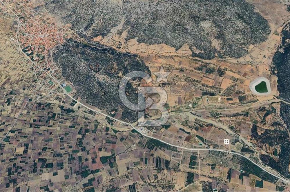 Tavas Nikfer'de Yatırımlık İmarlı Satılık Arsa