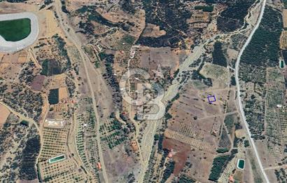 Tavas Nikfer'de Yatırımlık İmarlı Satılık Arsa