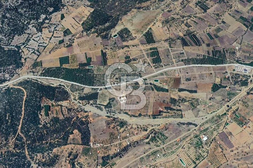 Tavas Nikfer'de Yatırımlık İmarlı Satılık Arsa