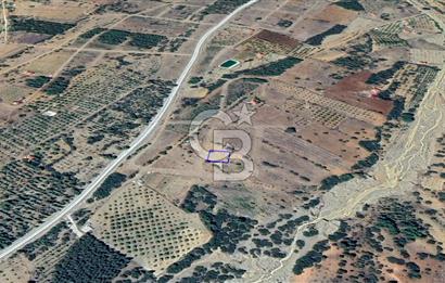 Tavas Nikfer'de Yatırımlık İmarlı Satılık Arsa