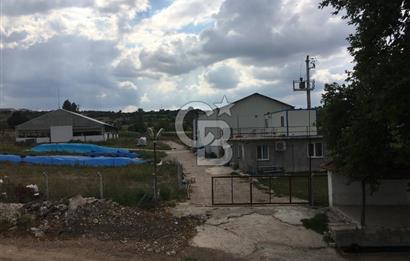 BALIKESİR ALTIEYLÜL PAMUKÇU'DA BÜYÜKBAŞ HAYVAN ÇİFTLİĞİ 24 dönüm
