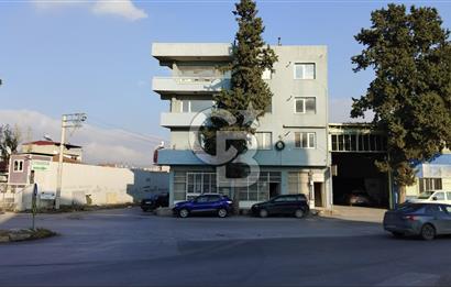 İzmir, Bornova, Doğanlar 3+1 Kiralık Daire