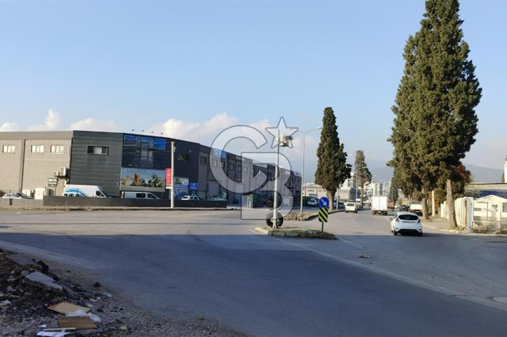 İzmir, Bornova, Doğanlar 3+1 Kiralık Daire